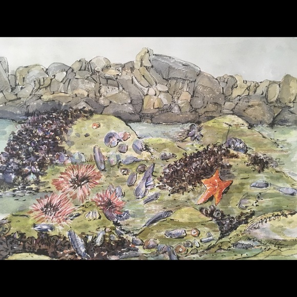 ⭐️Posh Ambassador⭐️    Meet your Posher, Marianne - Picture 4 of 4